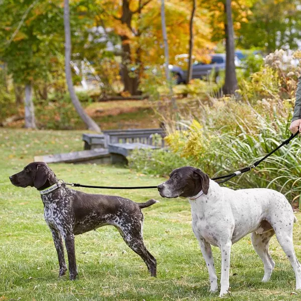 Orvis Adjustable Two-Dog Leash | Leashes