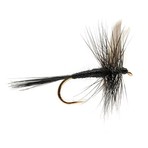 Orvis Black Gnat | Dry Flies