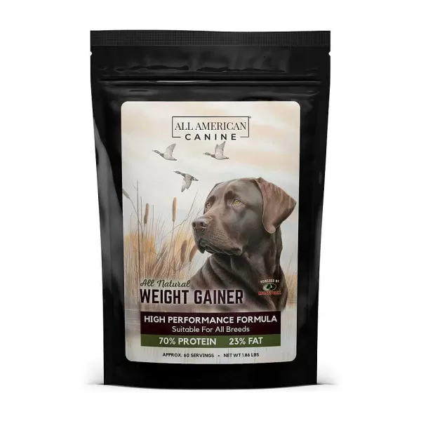 Orvis Dog Weight Gainer | Health & Grooming Products