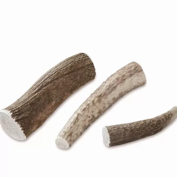 Orvis Elk Antler Chews | Treats
