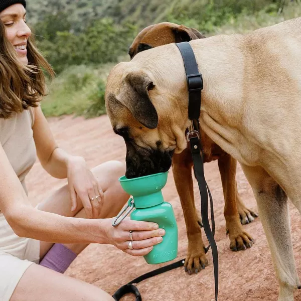 Orvis Flip Dog Travel Bottle | Travel Accessories