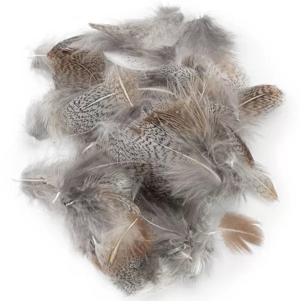 Orvis Hand-Selected European Partridge Feathers | Materials