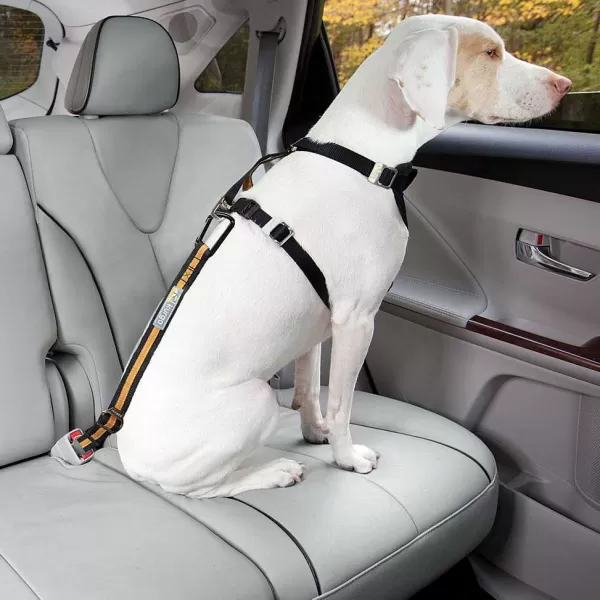 Orvis Kurgo® Seatbelt Buckle Dog Tether | Travel Accessories