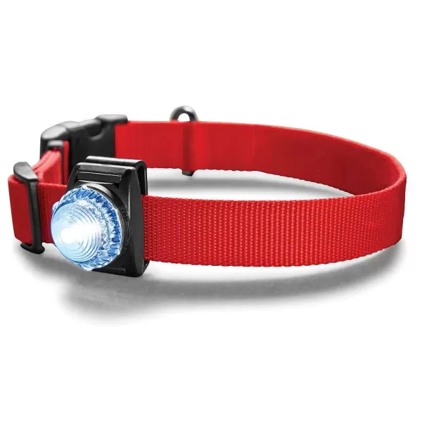 Orvis Led Safety Collar Light | Collars