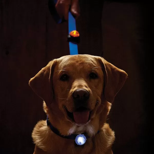Orvis Led Safety Collar Light | Collars