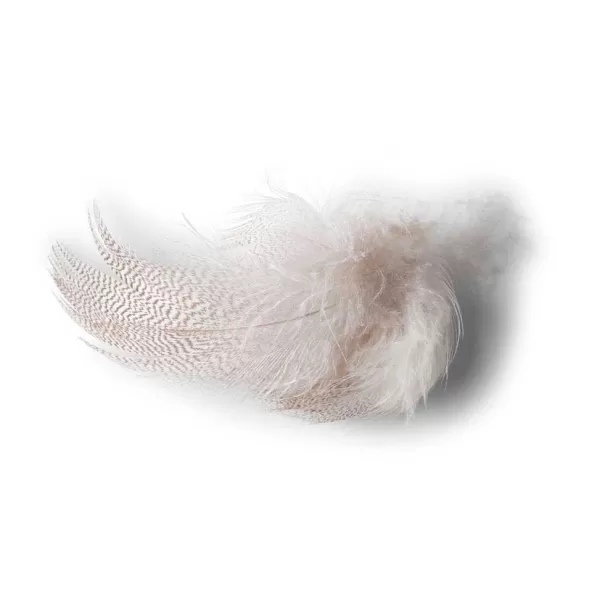 Orvis Mallard Duck Side Feathers | Materials