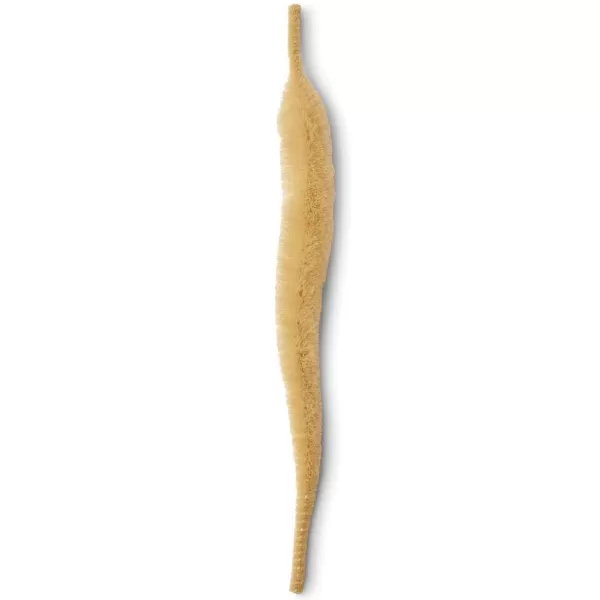Orvis Mangum'S Mini Dragon Tail | Materials