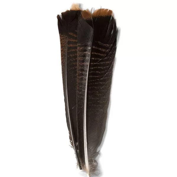 Orvis Mottled Turkey Feathers | Materials