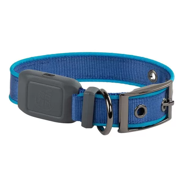 Orvis Nitedog® Rechargeable Led Dog Collar | Collars