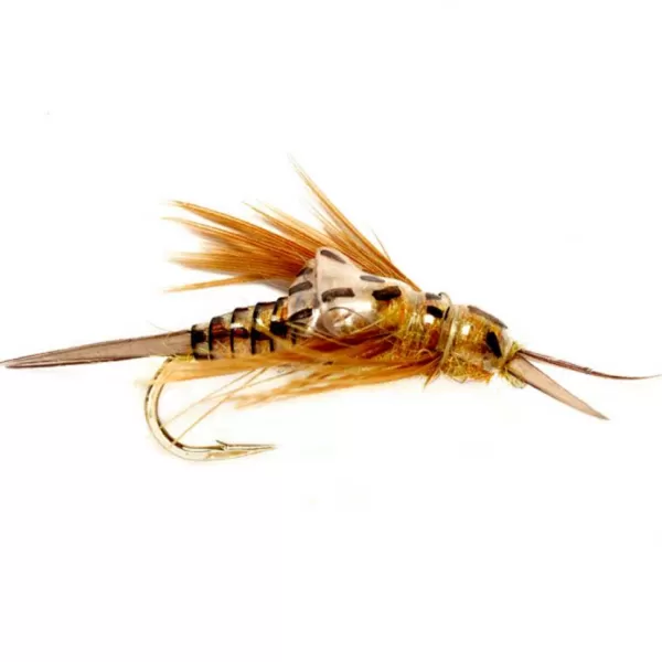 Orvis Oe Stonefly Nymph | Nymphs
