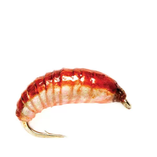 Orvis Ooey Gooey Grub | Nymphs