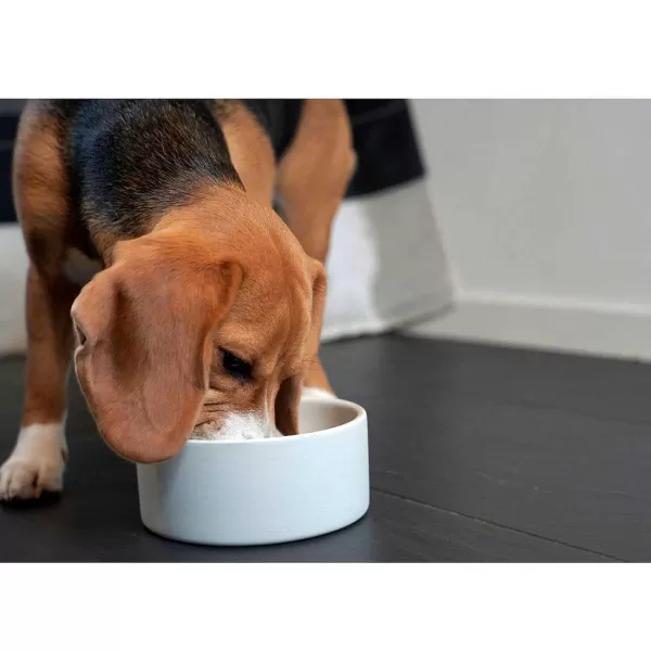 Orvis Paikka Cooling Bowl | Bowls, Feeders & Food Storage