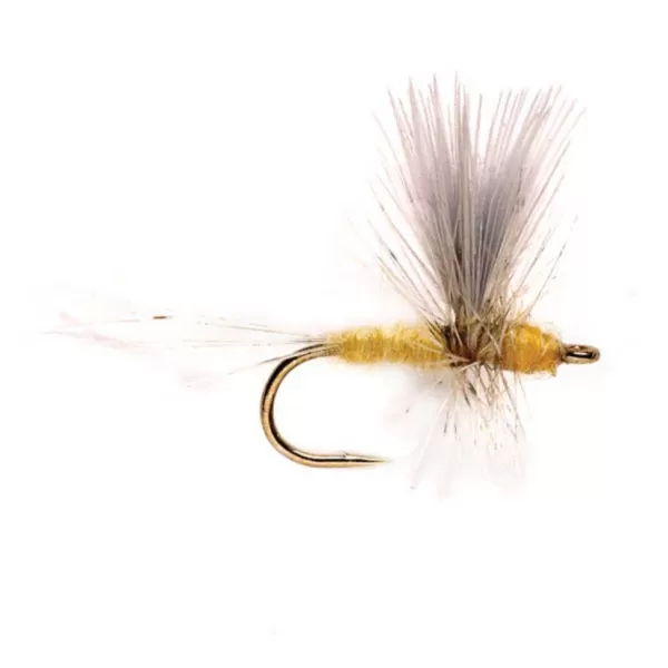 Orvis Pale Morning Dun Thorax | Dry Flies