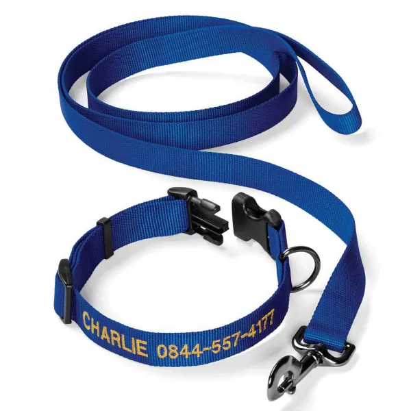 Orvis Personalized Adjustable Dog Collar With Leash | Collars