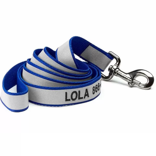 Orvis Reflective 6' Leash | Leashes