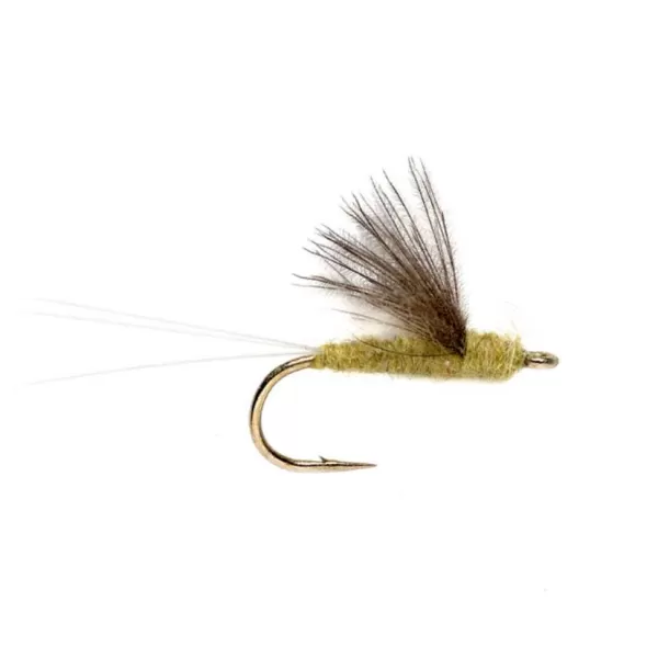 Orvis Rs2 | Dry Flies