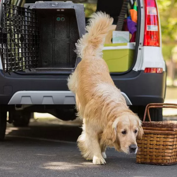 Orvis Ruff Land Performance Dog Kennel | Cargo Protectors