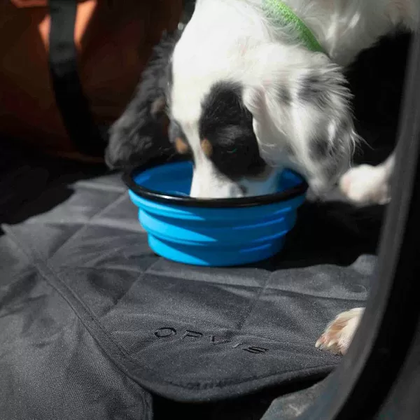 Orvis Tough Trail® Collapsible Dog Bowl | Travel Accessories