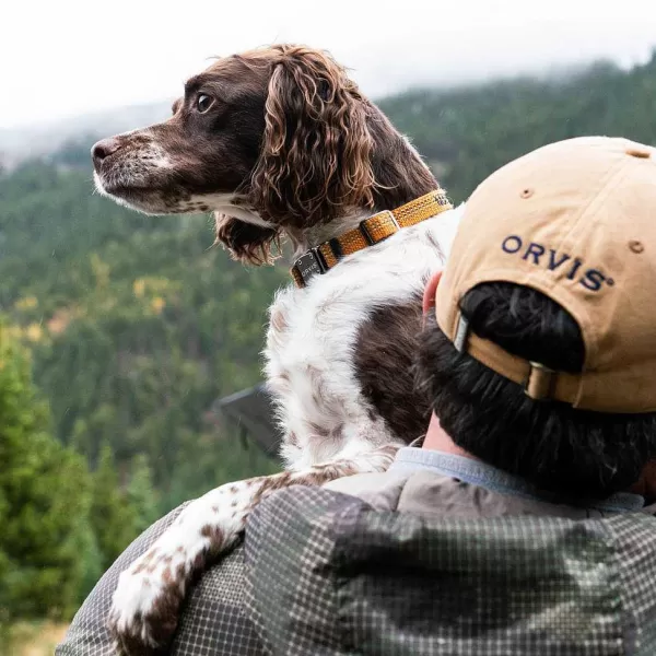 Orvis Tough Trail® Dog Collar | Collars