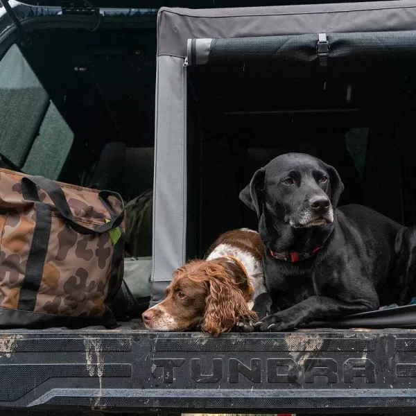 Orvis Tough Trail® Folding Travel Crate | Cargo Protectors