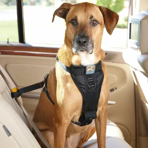 Orvis Tru-Fit Smart Harness Car Restraint | Travel Accessories