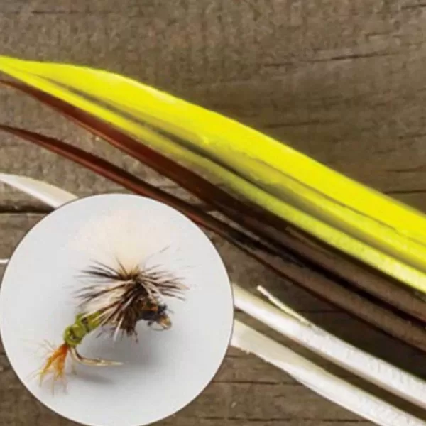 Orvis Turkey Biots | Materials